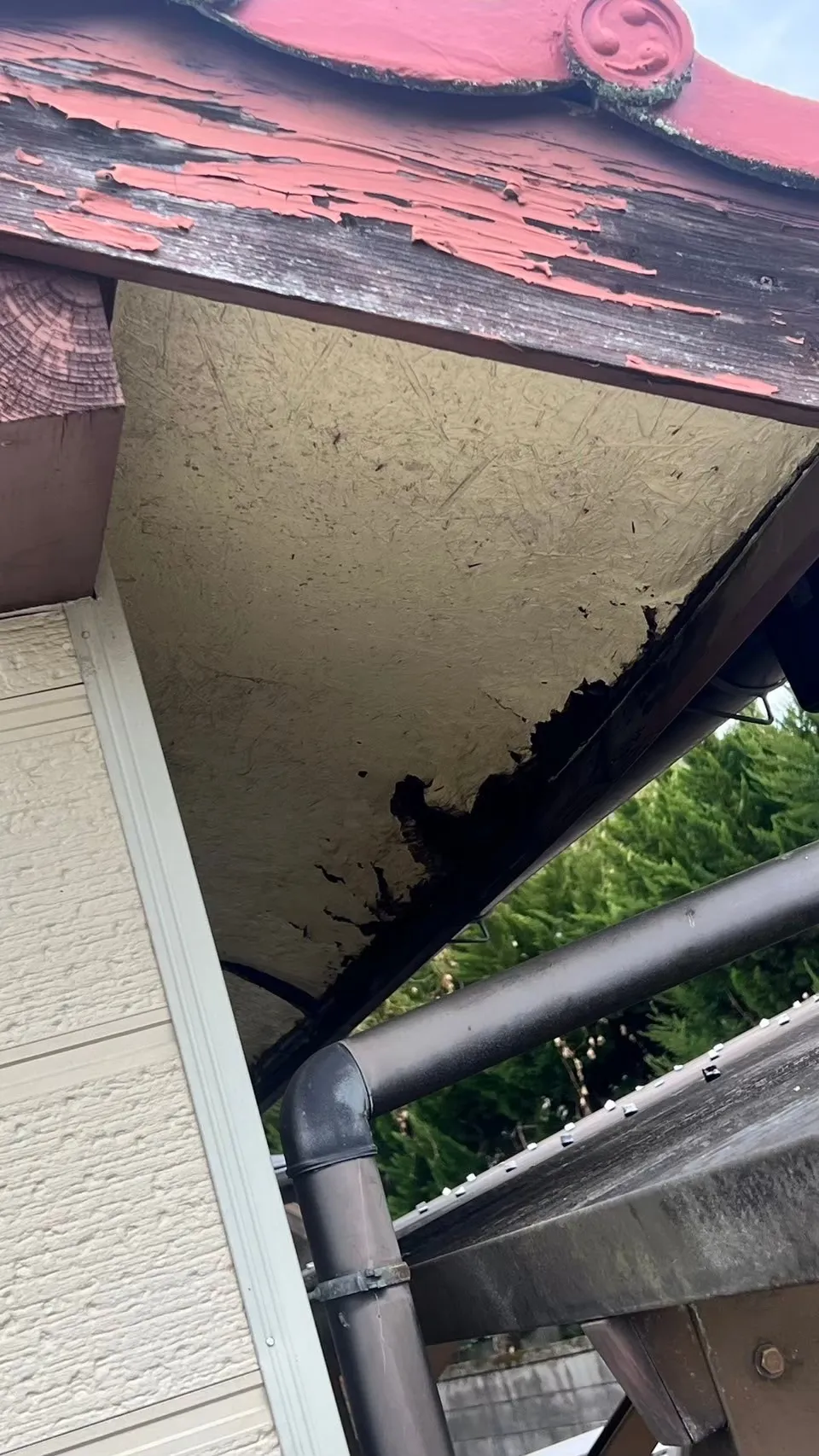 🏠【由布市】手遅れになる前に…⚠️ 雨漏り・木部腐食が進行した実例を公開